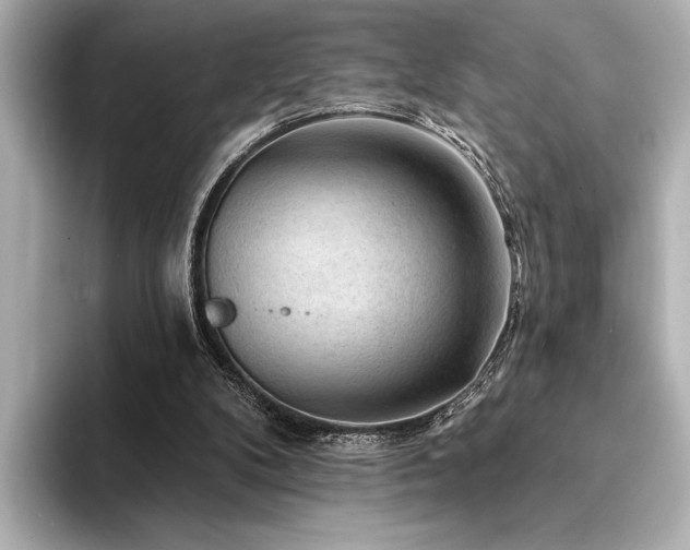 X0000094350104200711021440