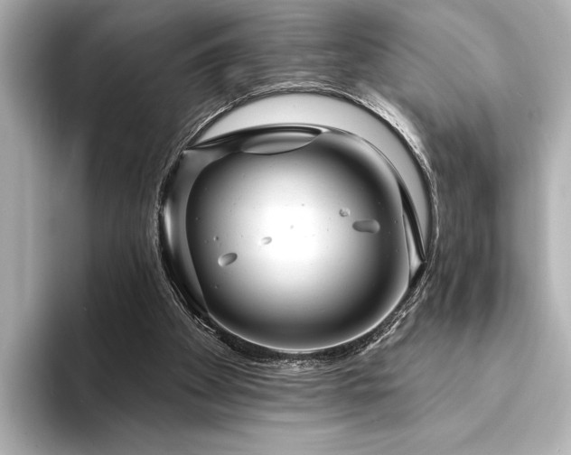 X0000094350105200711021440