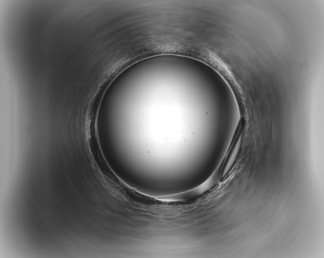 X0000094350106200711021440