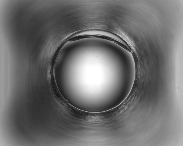 X0000094350107200711021440