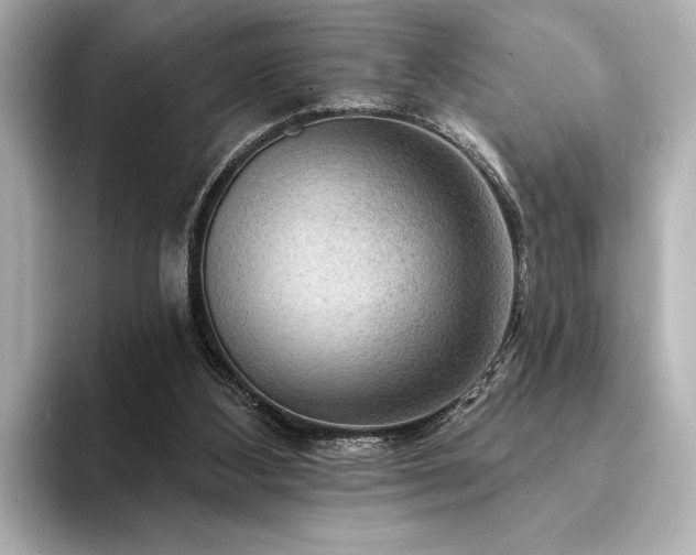 X0000094350108200711021440