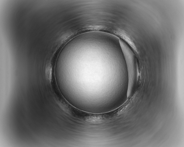 X0000094350110200711021440