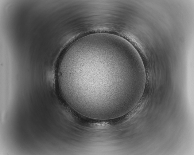 X0000094350112200711021440