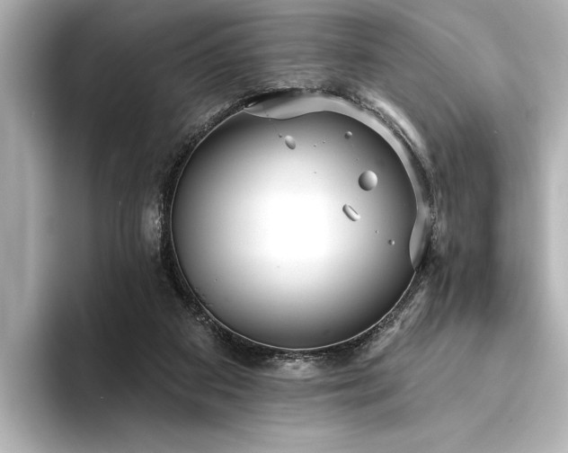 X0000094350113200711021440