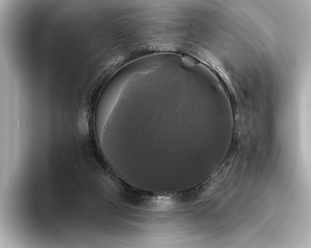 X0000094350114200711021440