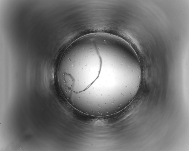 X0000094350115200711021440