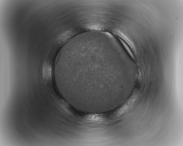 X0000094350117200711021440