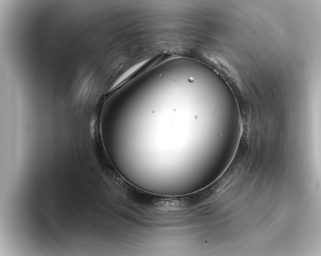 X0000094350123200711021440