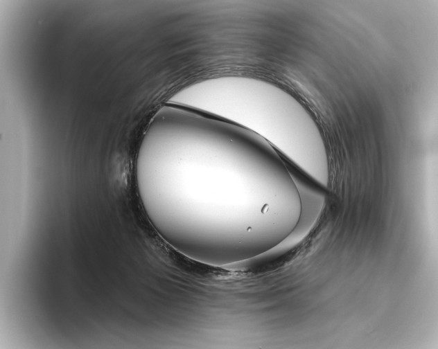 X0000094350125200711021440