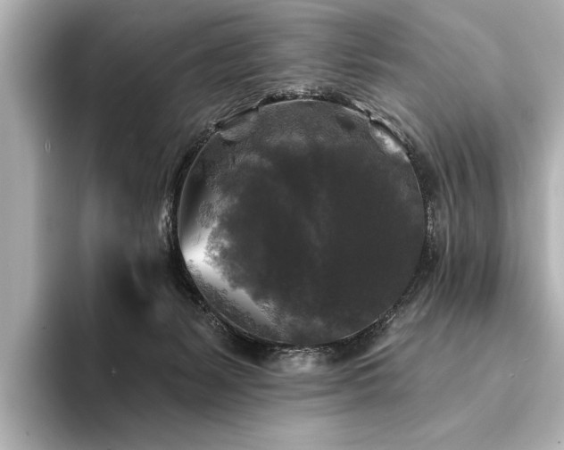 X0000094350127200711021439