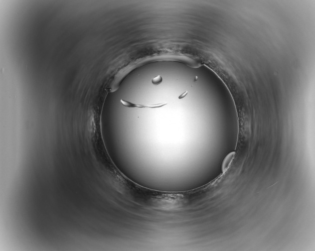 X0000094350128200711021439