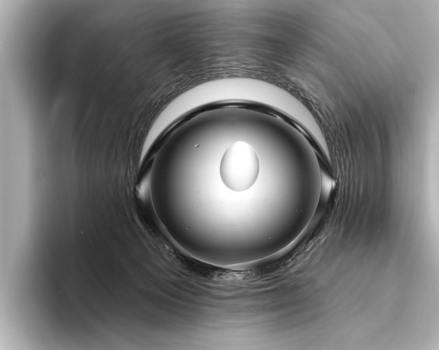 X0000094350129200711021439