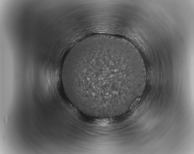 X0000094350131200711021439