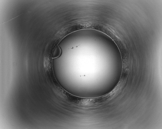 X0000094350136200711021439