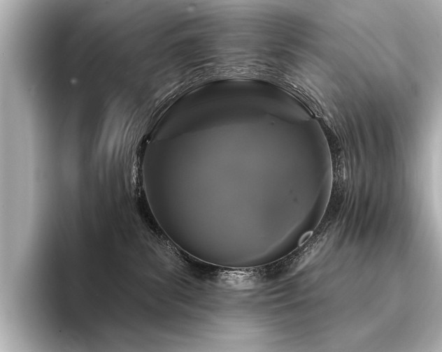 X0000094350139200711021439