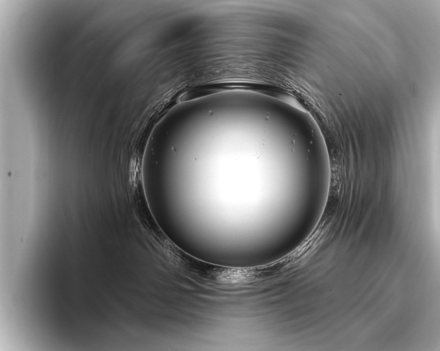 X0000094350142200711021439