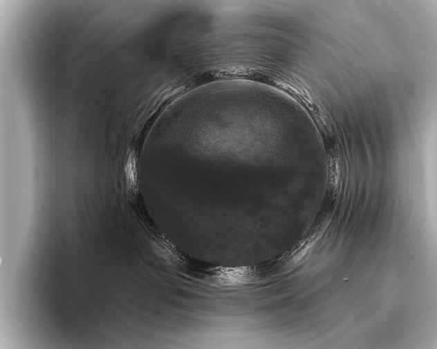 X0000094350143200711021439