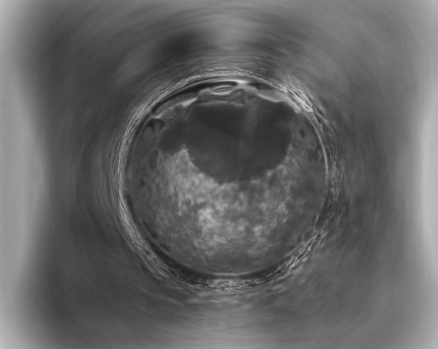 X0000094350145200711021439