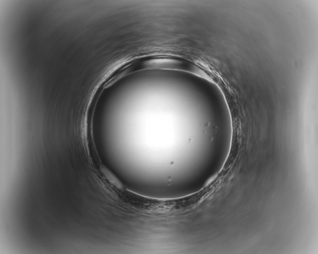 X0000094350148200711021439