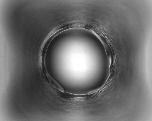 X0000094350150200711021439