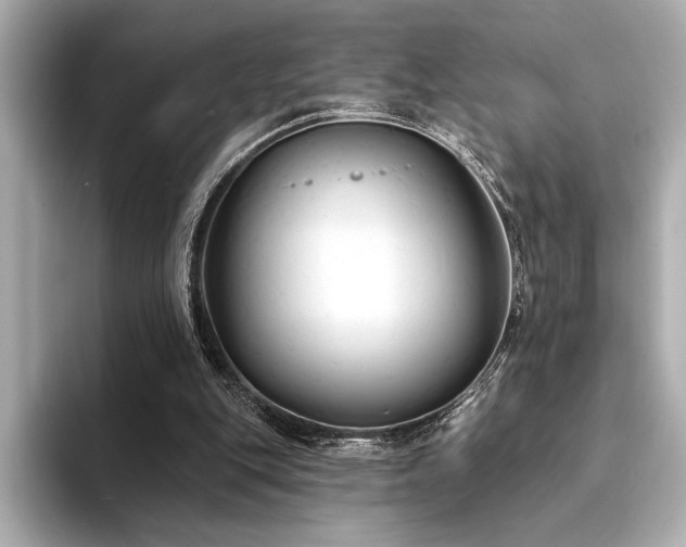 X0000094350151200711021439