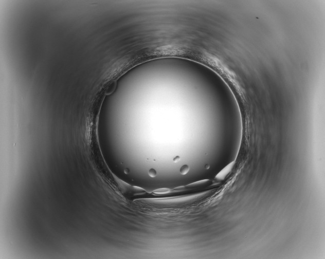 X0000094350153200711021439