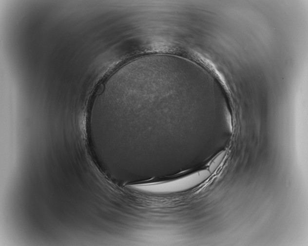 X0000094350154200711021439