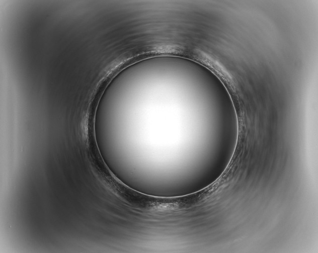 X0000094350155200711021439