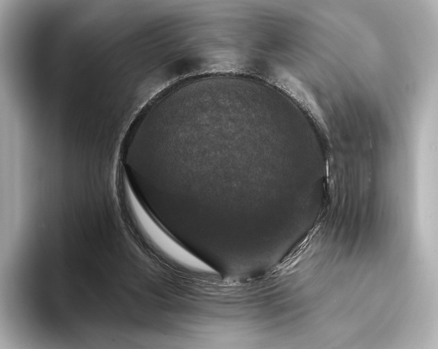 X0000094350156200711021439