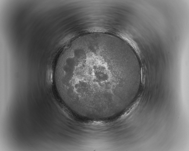 X0000094350157200711021439