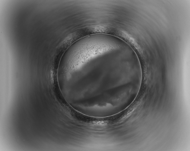 X0000094350161200711021439