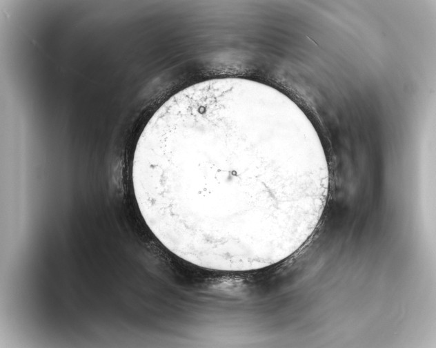 X0000094350162200711021439