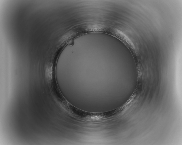 X0000094350163200711021439