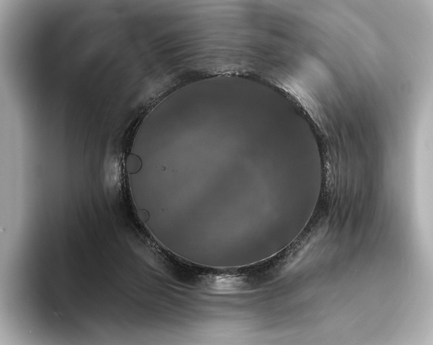 X0000094350165200711021439