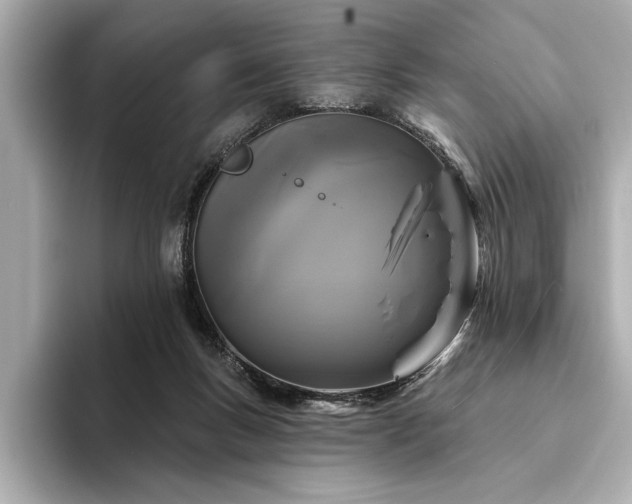 X0000094350167200711021439