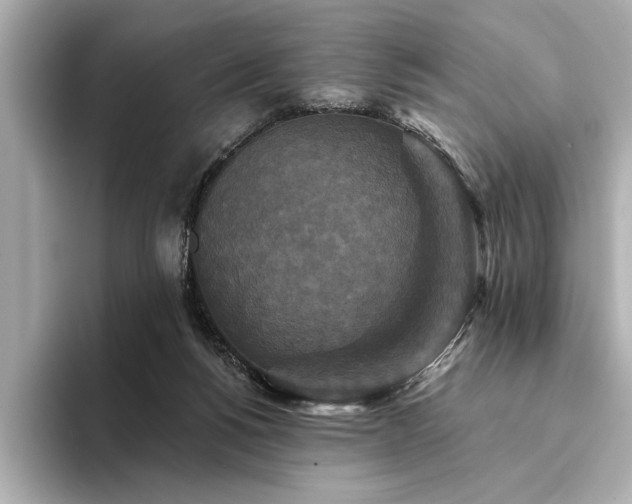 X0000094350168200711021439