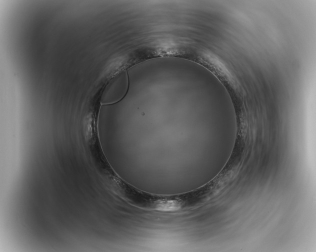 X0000094350169200711021439