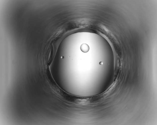 X0000094350170200711021439