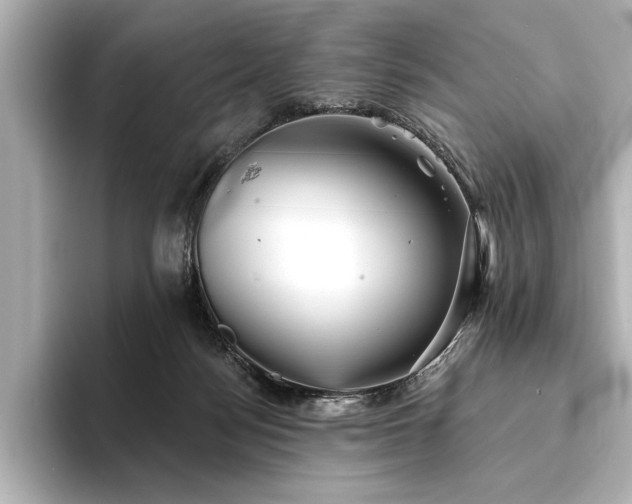 X0000094350172200711021439