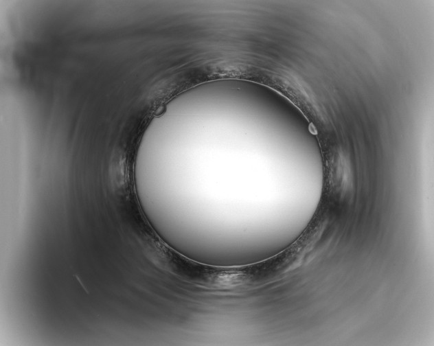 X0000094350173200711021439