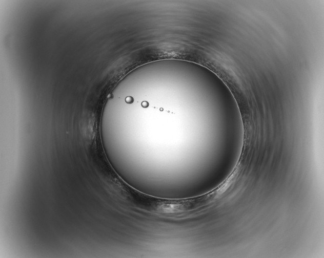 X0000094350174200711021439