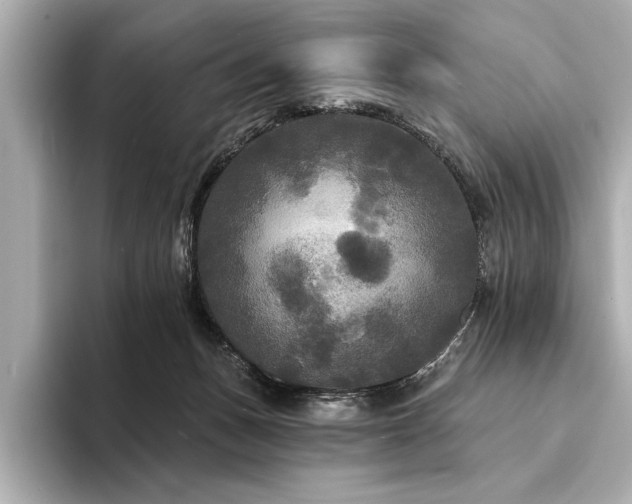 X0000094350175200711021439