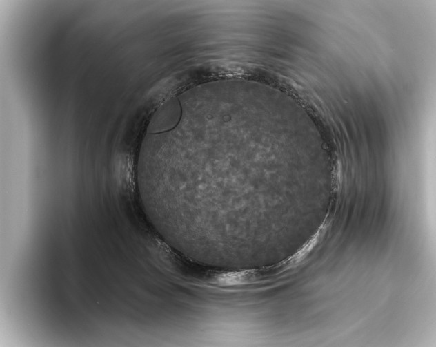 X0000094350178200711021439