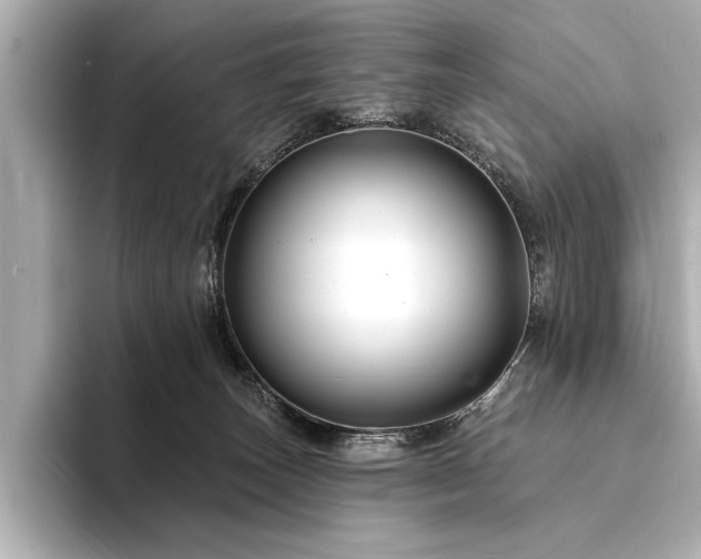 X0000094350179200711021439