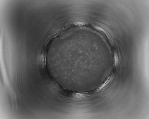 X0000094350180200711021439