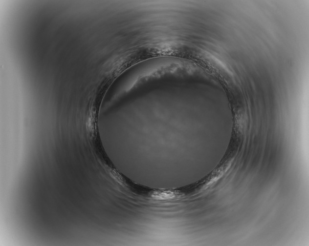 X0000094350181200711021439