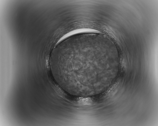 X0000094350185200711021439