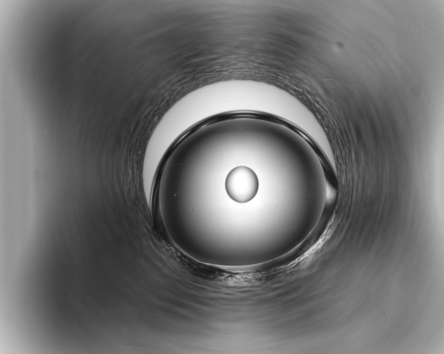 X0000094350186200711021439