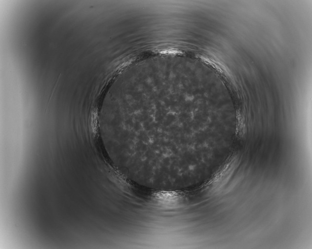 X0000094350189200711021439