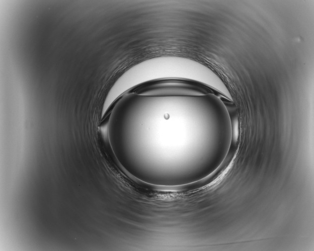 X0000094350190200711021439